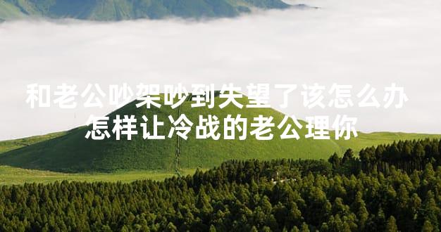 和老公吵架吵到失望了该怎么办 怎样让冷战的老公理你